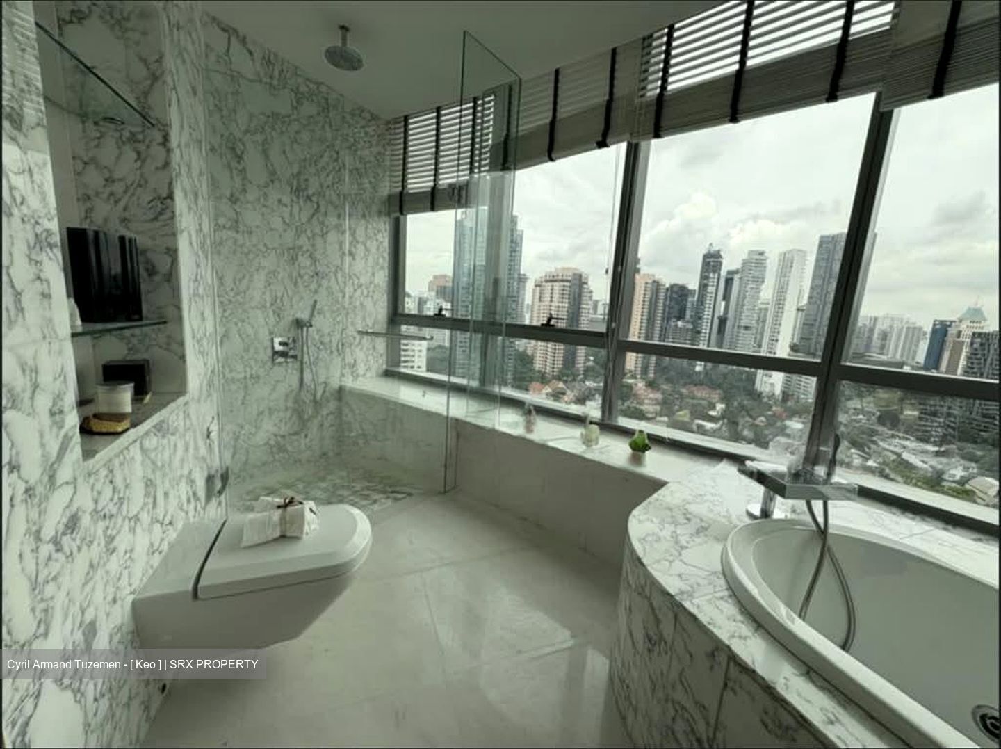 Cliveden At Grange (D10), Condominium #581276691